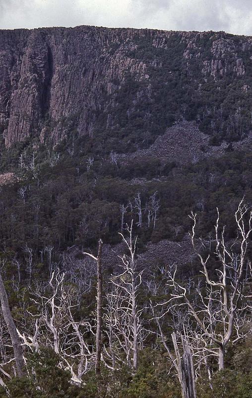 WT 0400 084-19 Australia.jpg